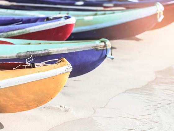 Dal 3 all’8 agosto torna il Palio del Golfo.