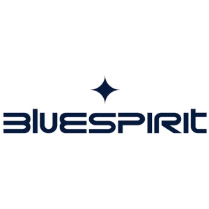 logo-bluespirit-png-560x560.png