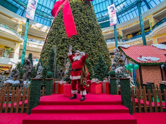 A magia do Natal tem destas coisas…