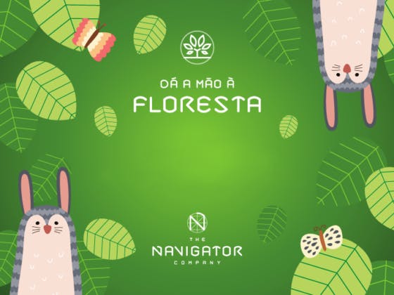 A árvore de diversões vai nascer no Colombo