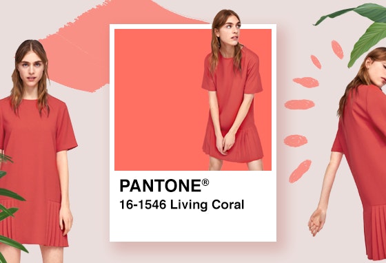 VariosSC_Cordoano-Coral02