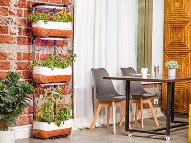 VariosSC-decoração-de-jardim-como-aproveitar-espaços-ar-livre