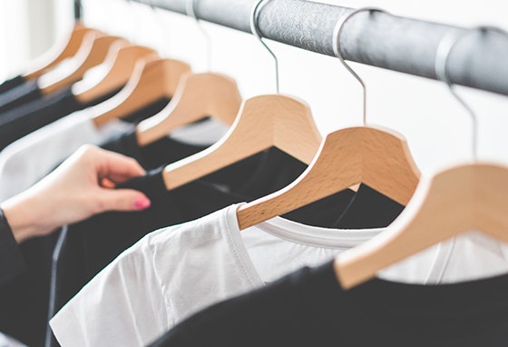 Varios SC_OsBasicosIndespensaveis_destaque