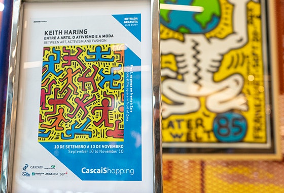 concurso-apanha-cascais-na-via-rapida