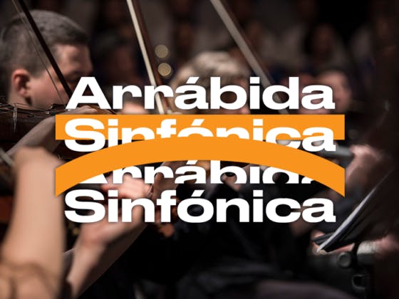 ARR_orquestra_730x529