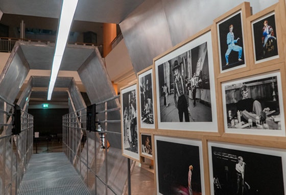 Iconic Bowie: 10 curiosidades e toda a programação