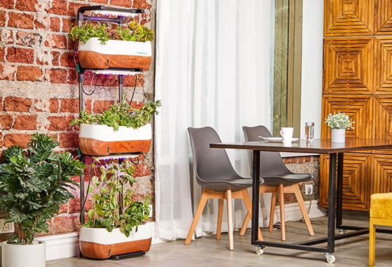 VariosSC-decoração-de-jardim-como-aproveitar-espaços-ar-livre