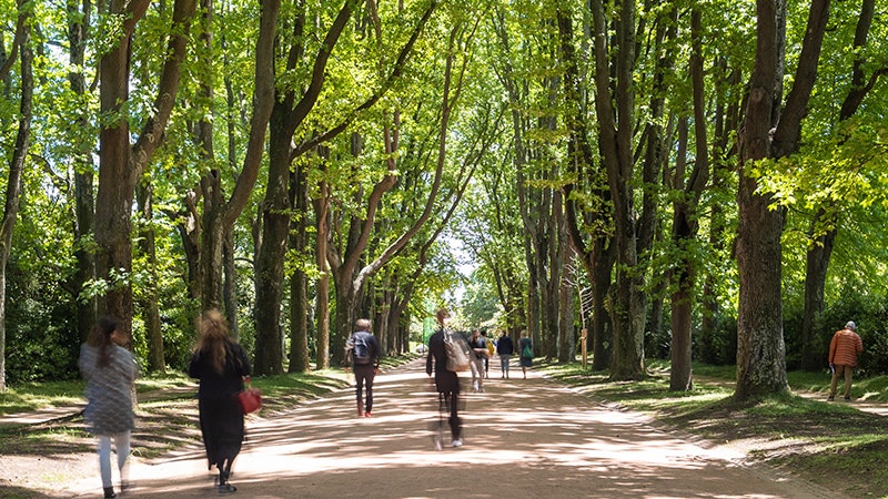 Visitar Serralves: Atividades de Páscoa em família