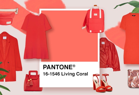 VariosSC_Cordoano-Coral01