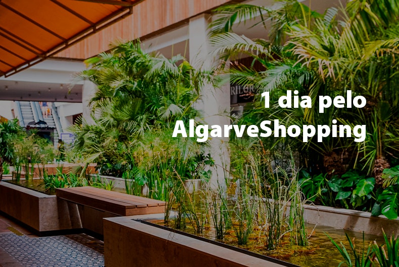 Dia de compras pelo Centro