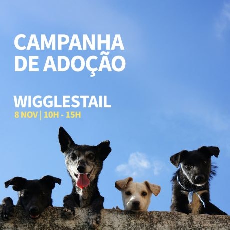 Adoção de Animais no AlgarveShopping