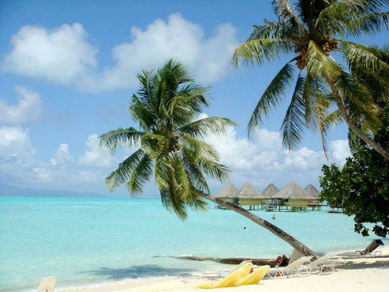 12992846_881841488594133_1234732613_n