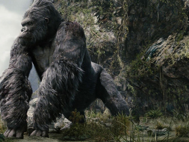 kongfeatured