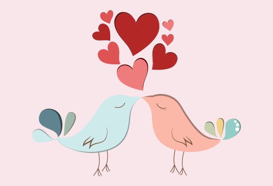 A Bluebird pensou em tudo e tem a solução ideal para os apaixonados.