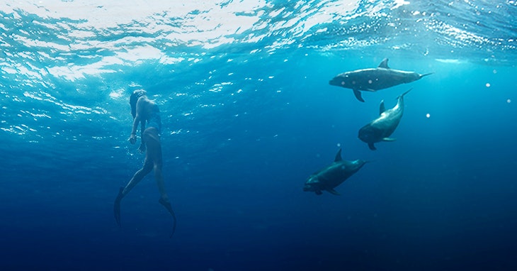 Dia Mundial dos Oceanos