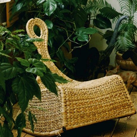 Decoração: dicas para criar um jardim interior
