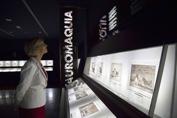 Museo Goya-Colección Ibercaja