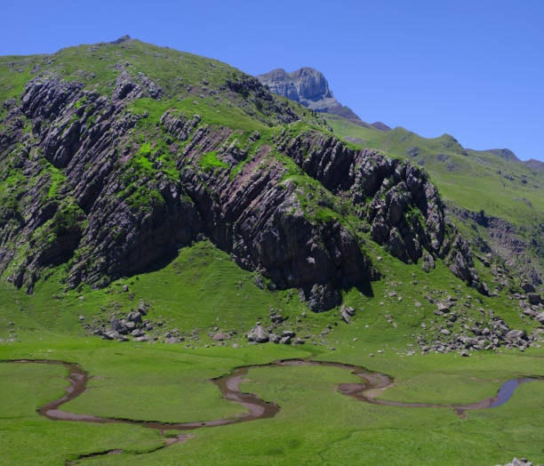 Selva de Oza