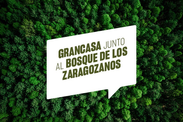 Gran Casa y el Bosque de los Zaragozanos