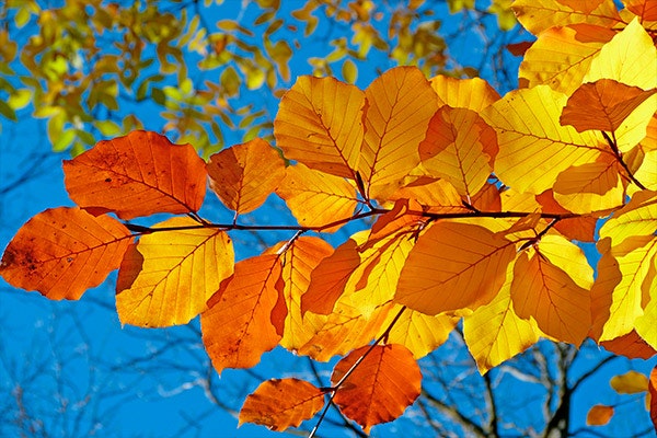 Bienvenido otoño en GranCasa tenemos muchas sorpresas para los próximos meses