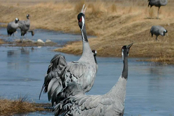 Otoño en Zaragoza: 4 excursiones para hacer en familia