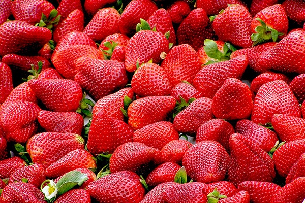 Fruta y verdura de temporada ¡un lujazo!