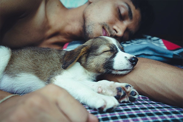 La siesta: cuánto es el tiempo perfecto