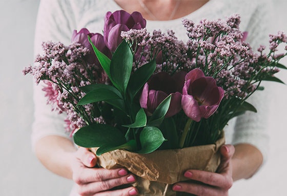 Primavera: um mundo florido no nosso Centro