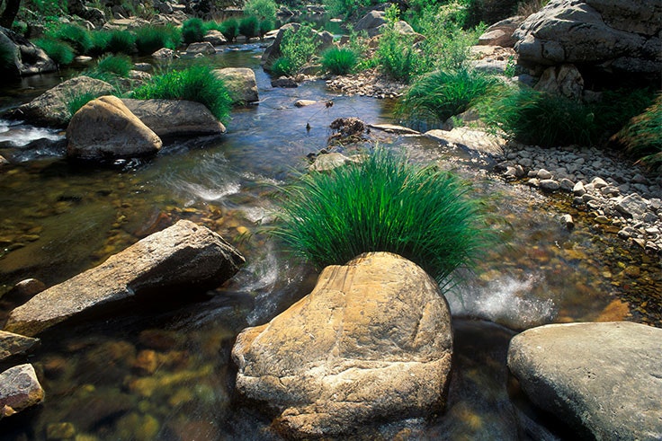 Parque Nacional de Cabañeros