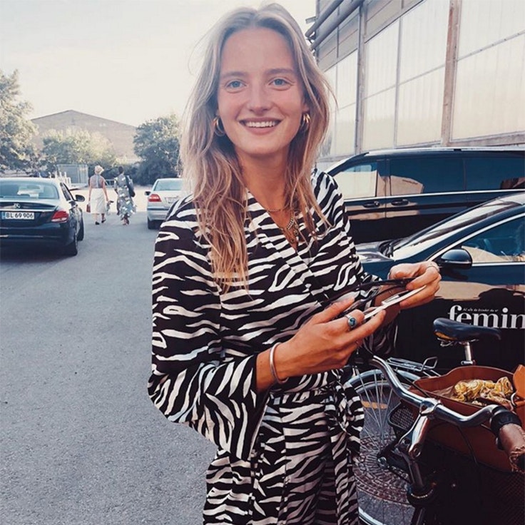 amanda-norgaard-estampado-de-cebra-animal-print