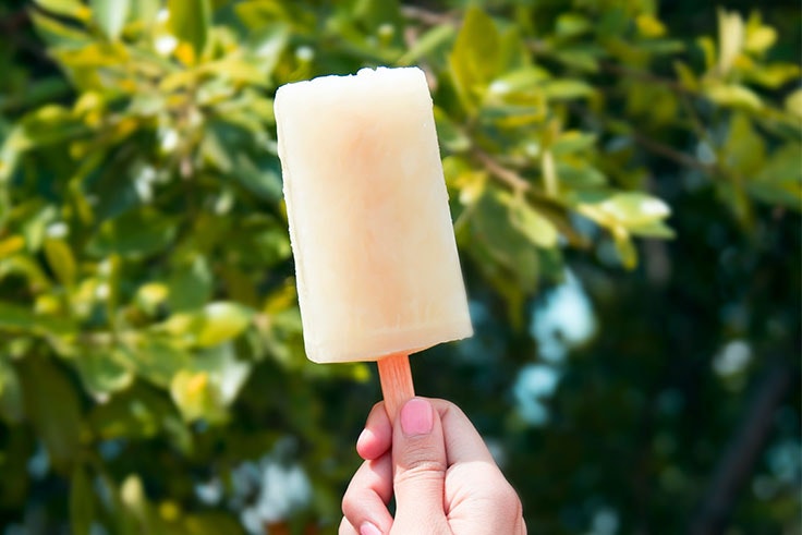 helados-caseros-de-limón