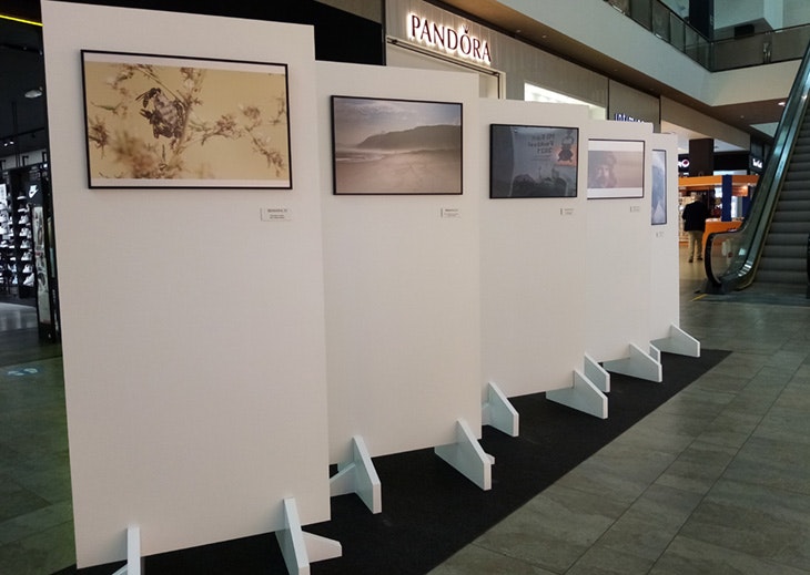 exposición asociación fotográfica Toledo