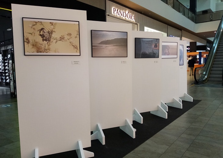 exposicion asociacion fotografia toledo