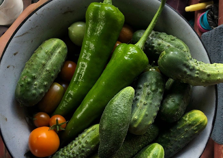 frutas verduras temporada