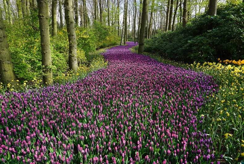 comienza primavera