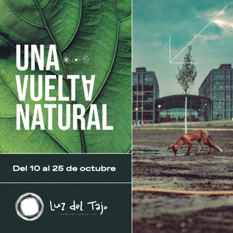 Exposición “Una vuelta natural” del 10 al 25 de octubre