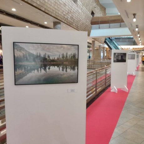 Nueva exposición de fotografría de la Asociación Fotográfica de Toledo