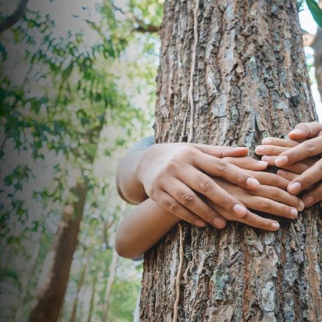 Así cuidamos el medio ambiente en Luz del Tajo