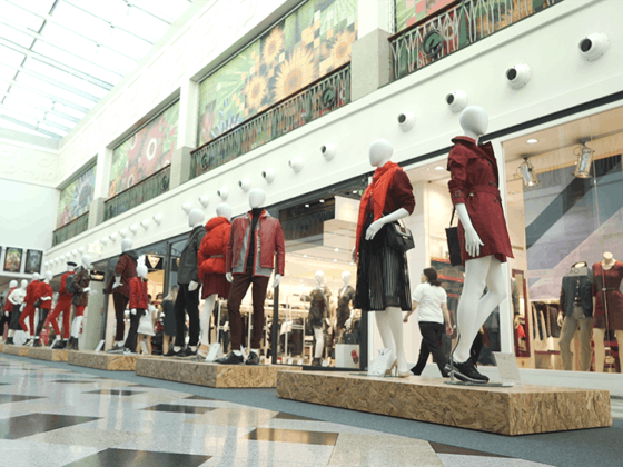 Varios SC_FDAYS-MADEIRA_tendencias_site