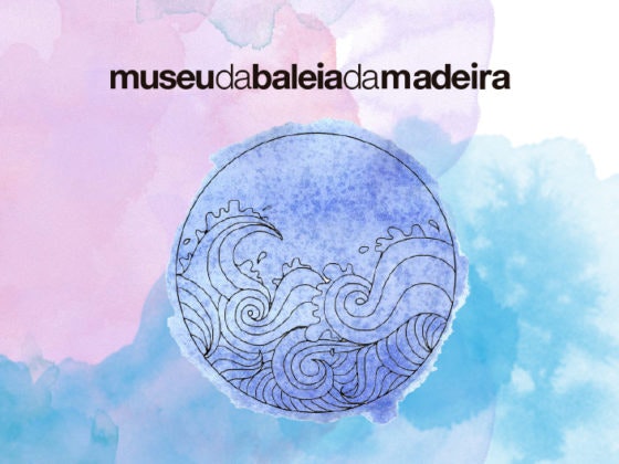 Exposição do Museu da Baleia até 26 outubro.