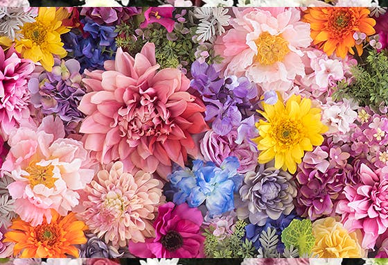 IMG-Destaque_FloresAosMolhos