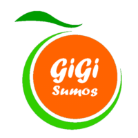 logogigiLARANJA (Custom).png