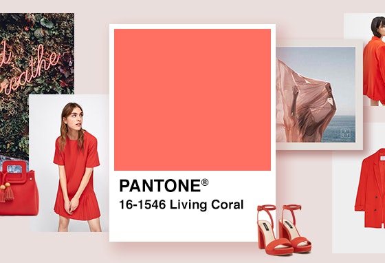 VariosSC_Cordoano-Coral03