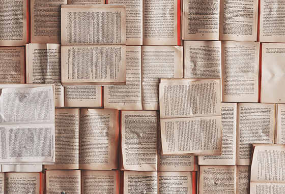 Dia do Autor Português: 6 livros fresquinhos para comemorar!