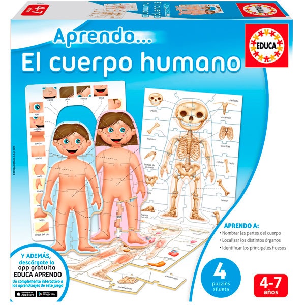 Jogo corpo humano, Continente, 11,99€