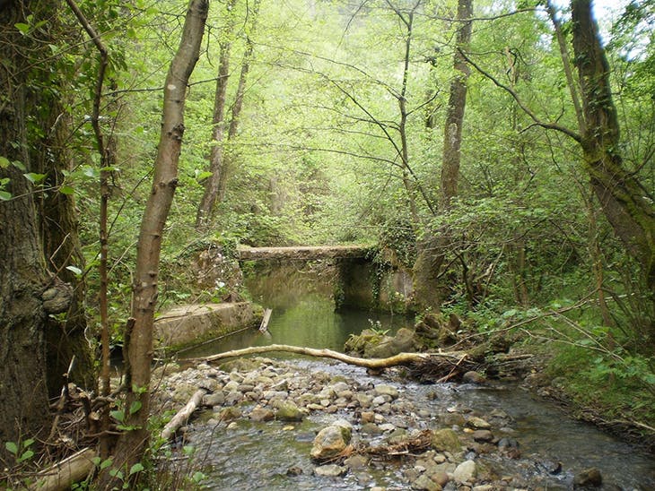 Descubre los pantanos de Barakaldo en el ‘Camino del Agua’