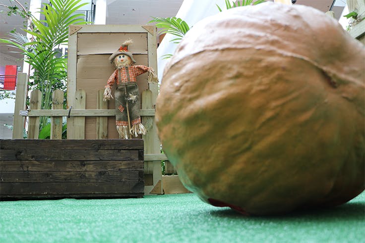espantapájaros, niños, calabaza, taller, jardín