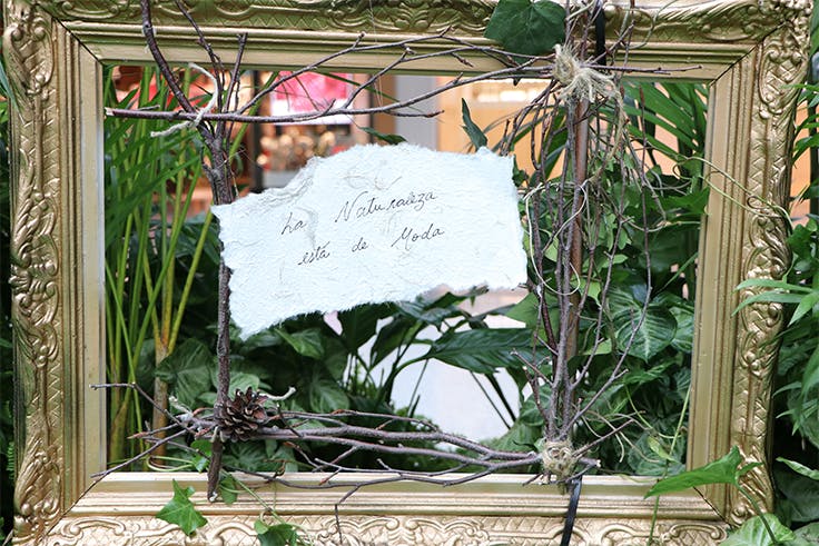 Espejo, moda, vegetación