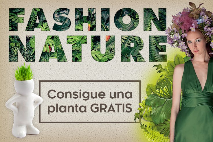 jardín, planta, evento