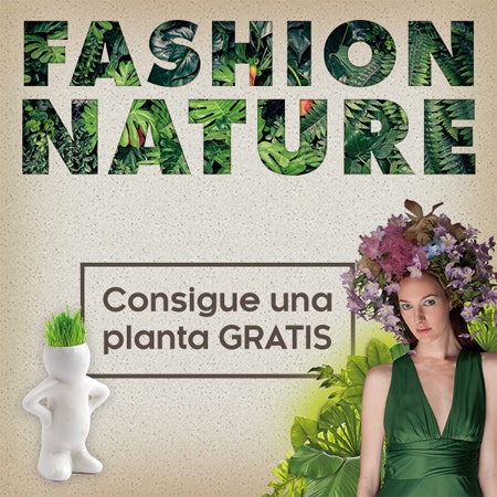 Planta gratis Fashion Nature